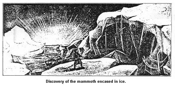 Mammoth found frozen in Siberian Ice